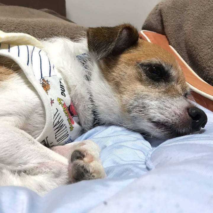 563eca18 dc10 4d86 9176 19044b6d59b5 1567854268526