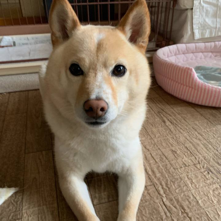 563ecea6 4bb8 4e86 b306 0e7e8b04b80e 1624058383913