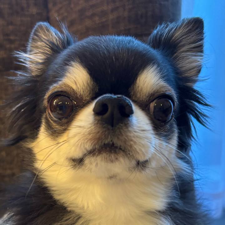 563edd22 758c 4ae0 a937 4b2fb84eedb5 1736550440942