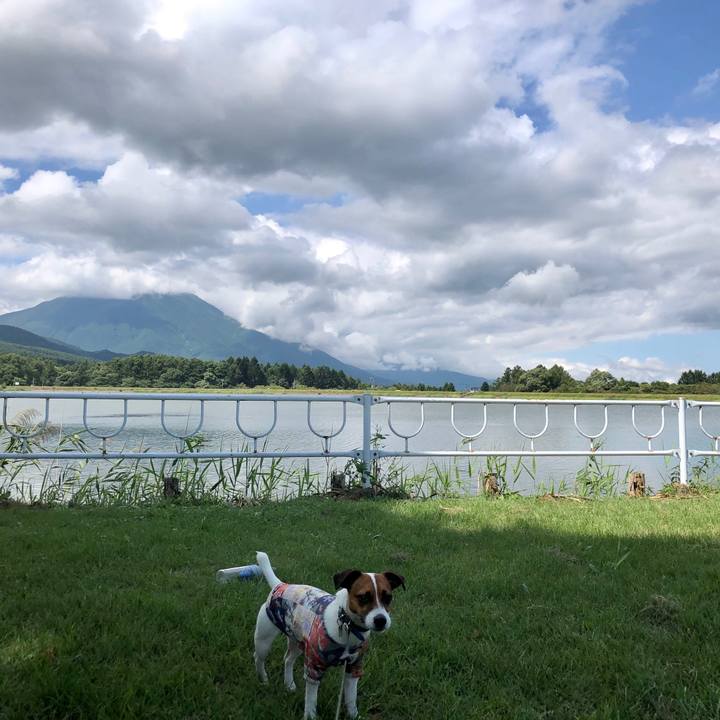 563f0763 16a6 4ff5 9d9f 01d9abd8c252 1598937356751