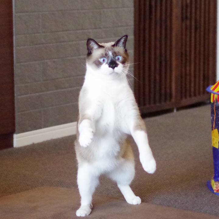 563f5466 bd99 4b57 b356 fd26c06d4e30 1533540057525