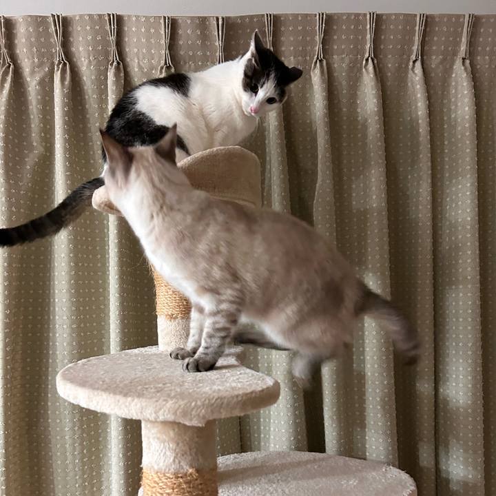 563f9450 631f 4b1f bb05 e0b49b940922 1739023417661