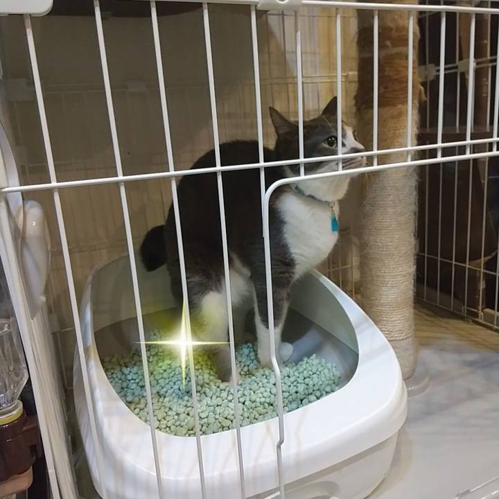 563f9af6 03eb 4f28 97ac d8e39b2da01f 1641212284932