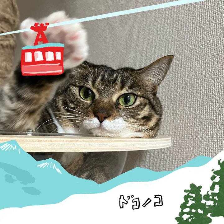 563fb708 beb8 44fd adda 1c0bbb4fb111 1707223019427