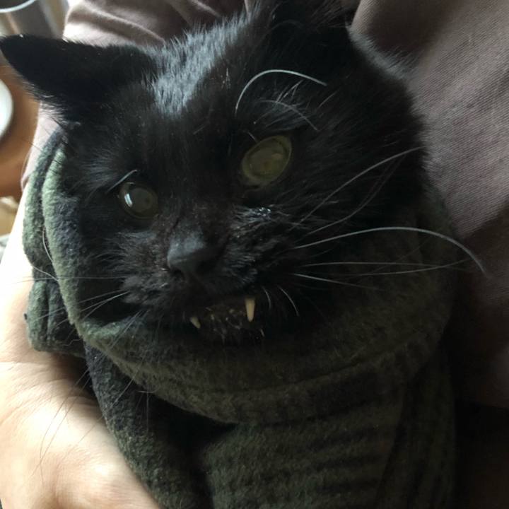 563fb996 bb98 4415 87ed b22b8d845af5 1645310082308