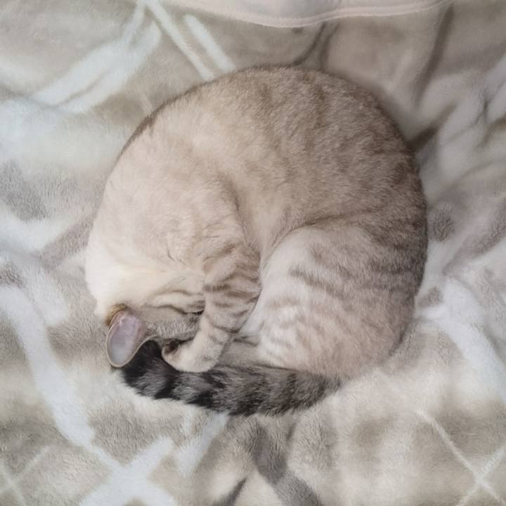 563fd088 a493 4dce b5ab 2e758a388b8c 1509535966058