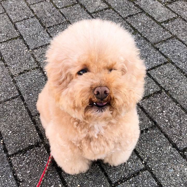 564000f9 c34f 4ff7 9e53 ac5169c91960 1511500292856