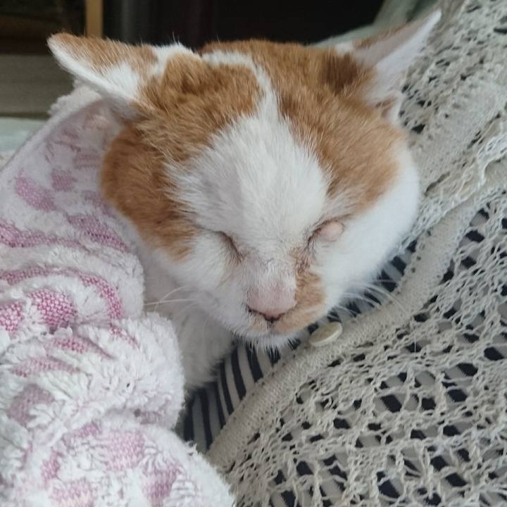 56401135 30a0 4d89 a009 7a949e921c59 1623539289608