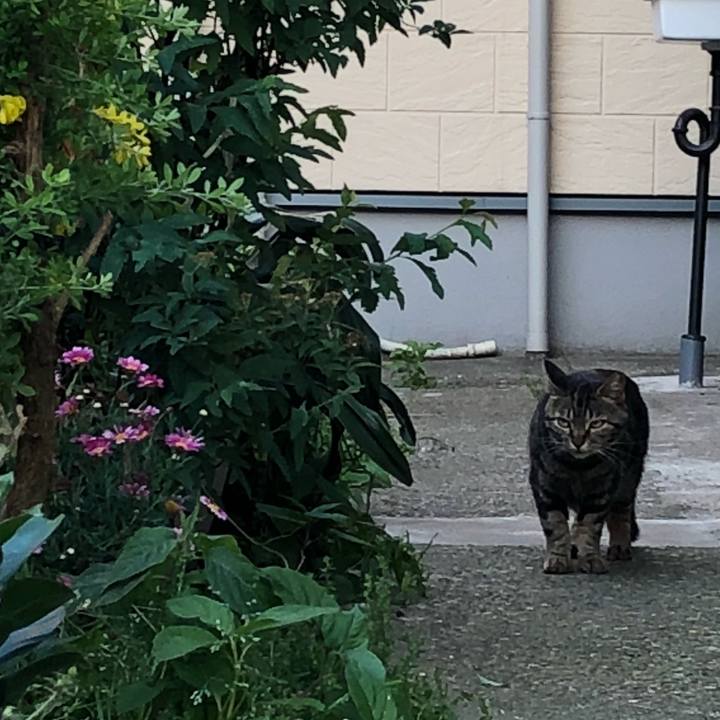 56402ca3 a89d 43da 83e8 2cdada75af88 1525549037156