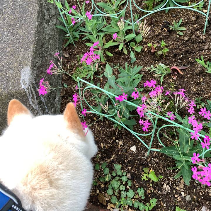 56409cdd d6ae 40c1 8916 e29feed2bf22 1631049495707