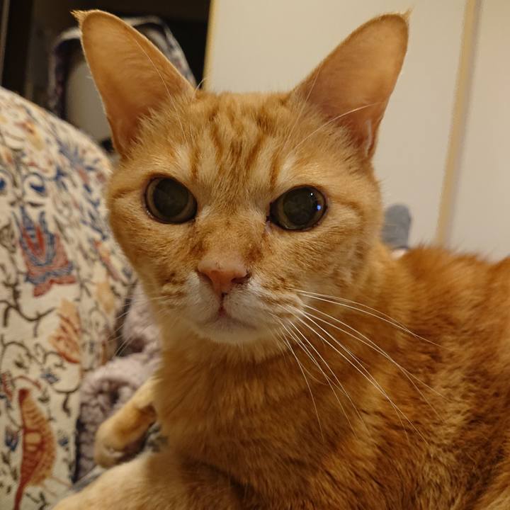 56409ce7 e8fa 4874 aecc 7eec60005271 1670591252211