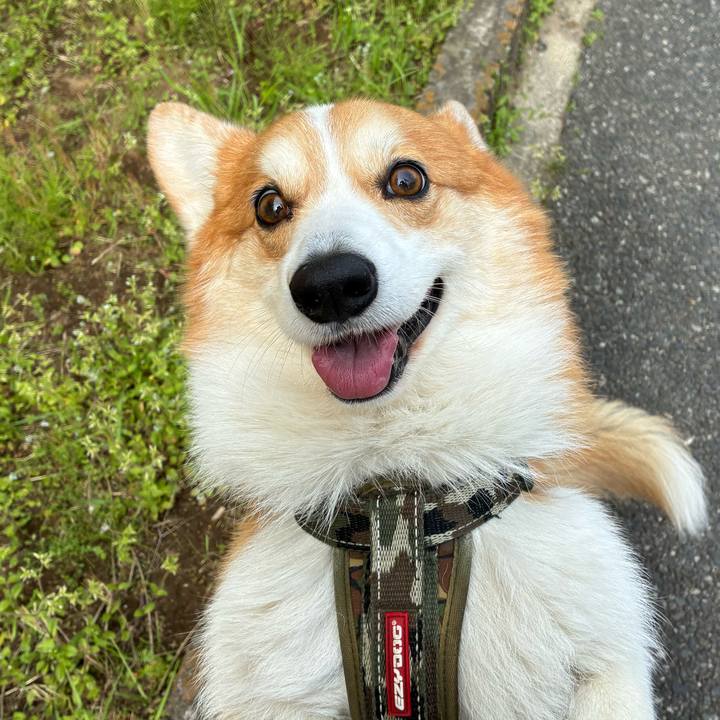 5640a517 d47d 4ff6 9bd4 6af62e40b829 1776136705864