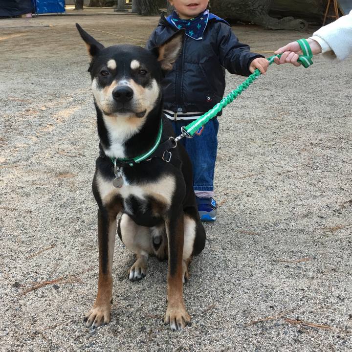 5640b52f bee6 4d5e a31d d976c0d39855 1514811733911