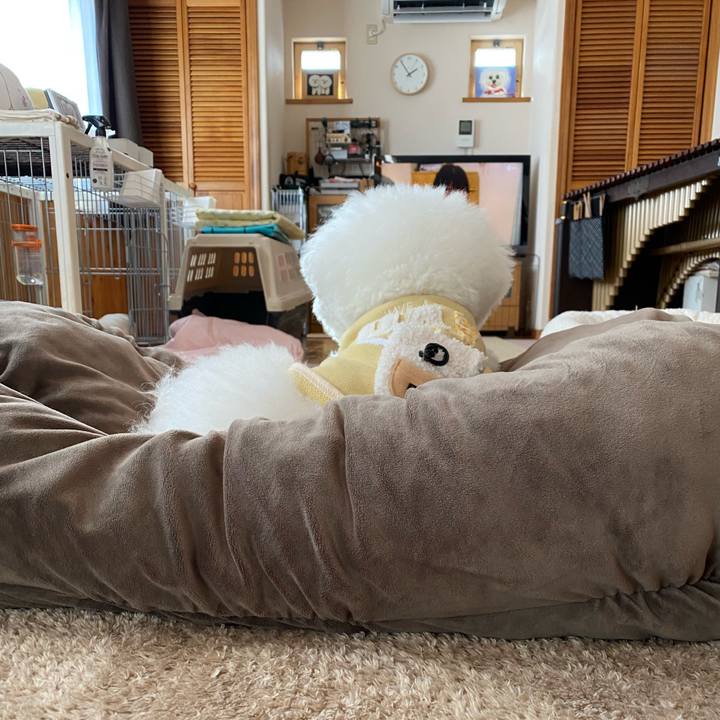 5640baac 0f69 4886 808b 0023c8b2f738 1640667488439