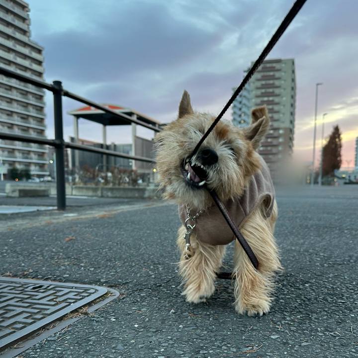 5640cb4f 8826 43bf 984c df134761f792 1735620180683