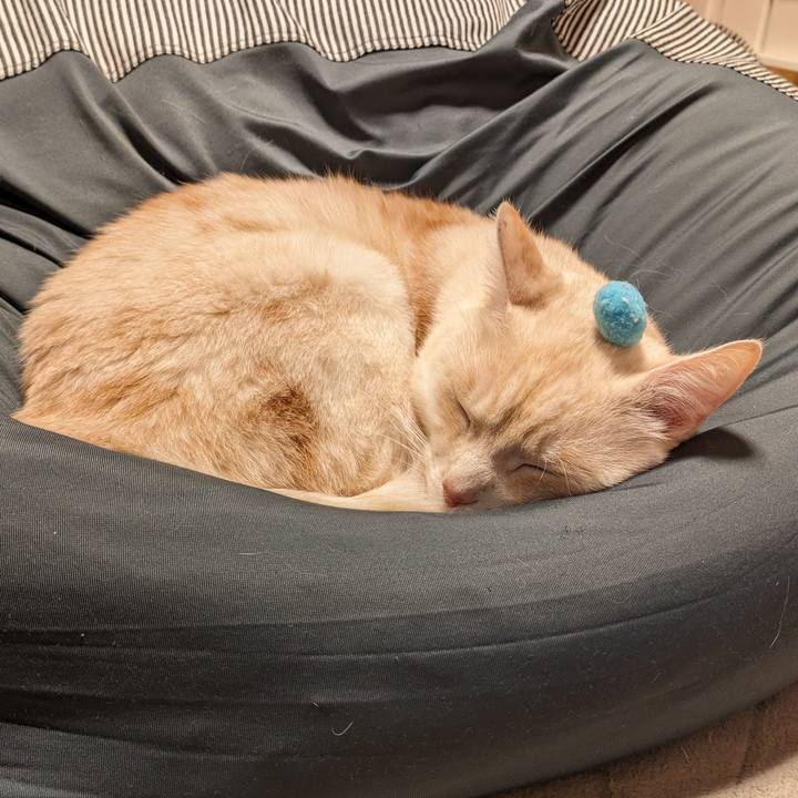 5640de46 e1c2 422d bf16 dc8cd36ba942 1708170993997