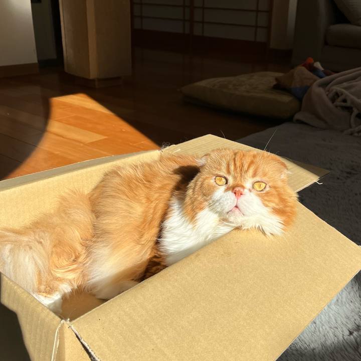 56413009 11d9 4dc3 9461 c35accd265a7 1764986655532