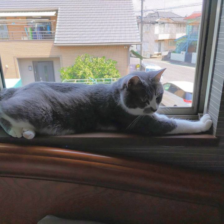 56413963 3c20 4d73 abe5 8e37d5b8941f 1687663211808