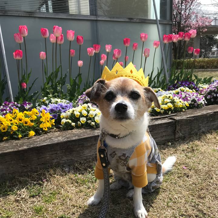 56419c11 4339 435e ad01 11747dac484e 1616234417457