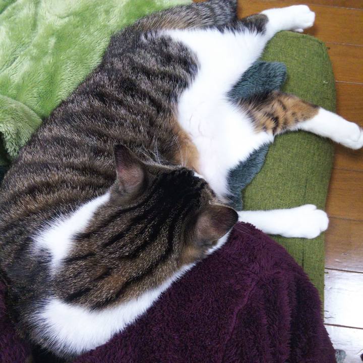 564211b9 0c43 4941 a010 d588786c9946 1639289745023