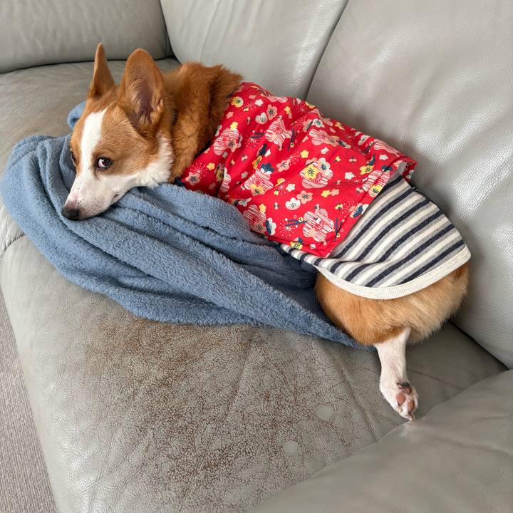 564225c2 143e 445b 9763 9a0f5e4a5391 1770625308199