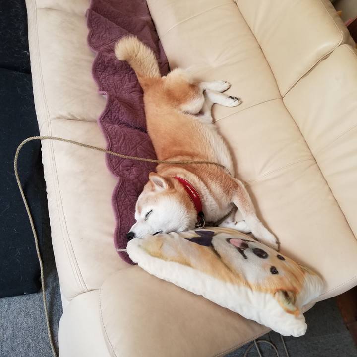 564244e8 3eb7 446b 9ac5 908cc020a607 1722481775985