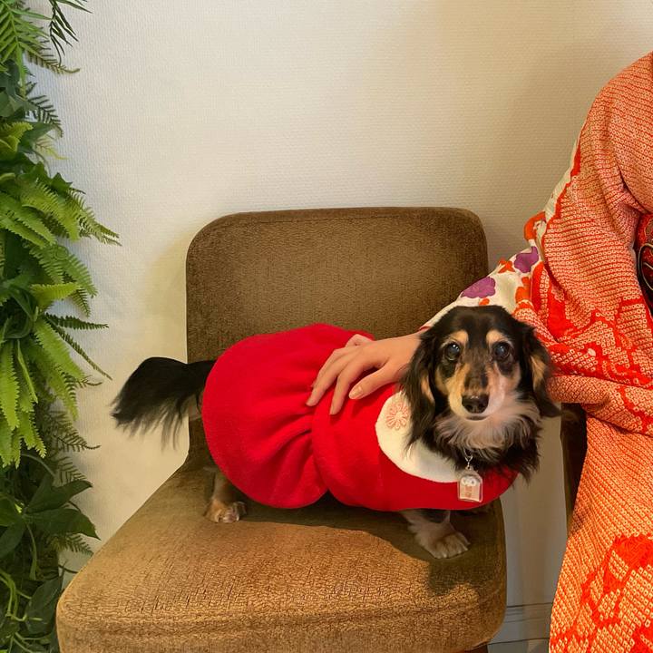 56425098 78a0 466f 818b 9d160b6aebec 1641721616394