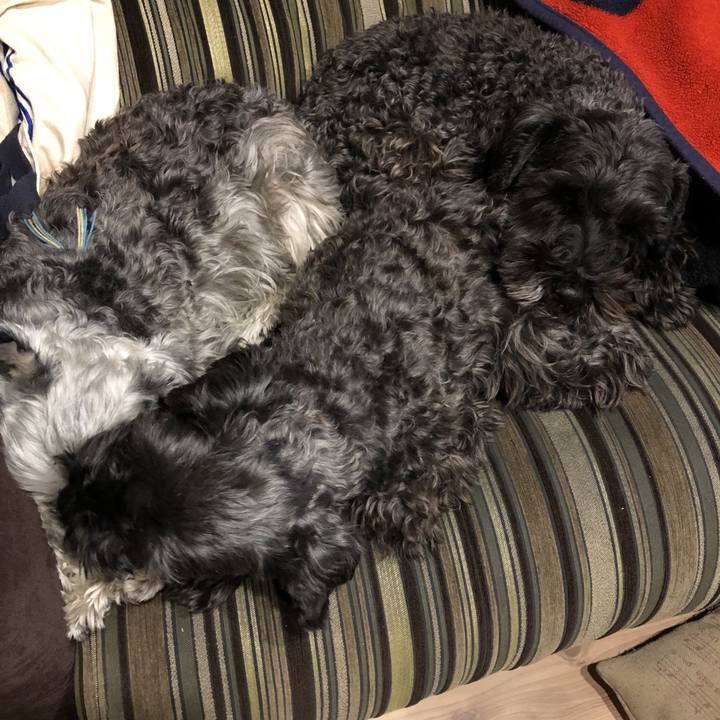 56427802 9286 4467 9dd2 a5070529ffa1 1578735813187