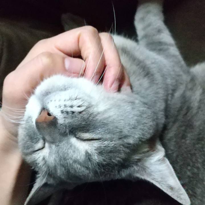 56428256 bb0b 416b aafb b4d38c6f5bb7 1612430754314