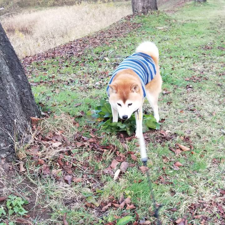 5642e492 5ba9 4b8c bd2c a7d0937e2e91 1637306640027