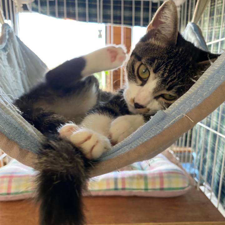 564376b8 c3aa 4ac3 9c56 7f198be7a829 1694133948619