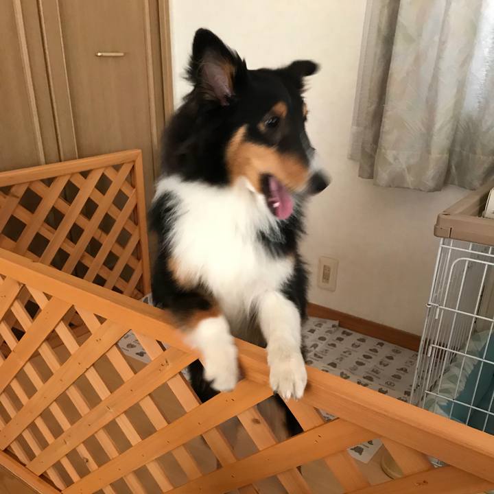 56437d42 a88f 4c8c 9981 9c1cc275ac35 1529586701646