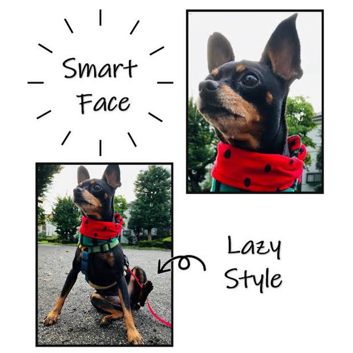 56437e66 24ae 4c29 95c3 70844a154a22 1721686186130