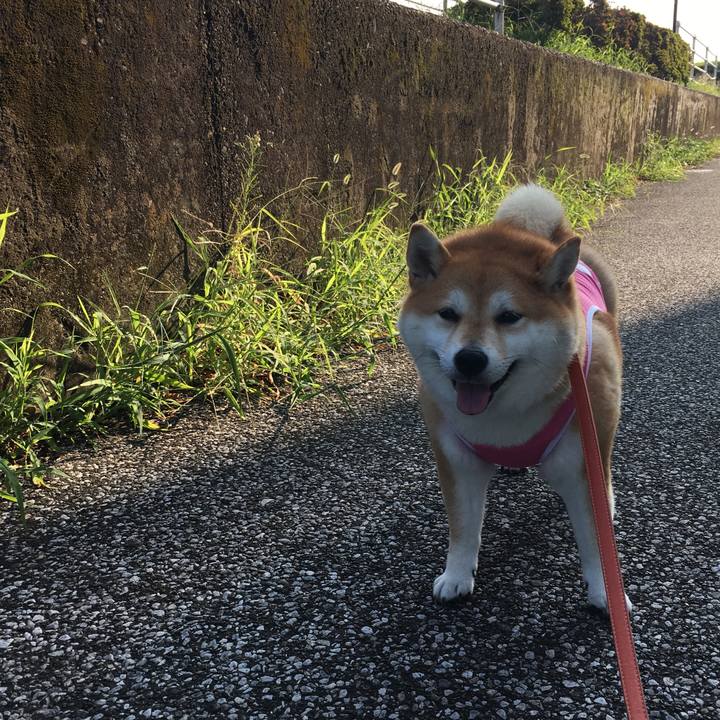 56439ca4 902b 44dc b6dc 502404ea156a 1566689508979