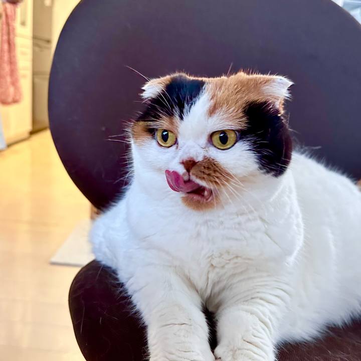 56439d2f e9e6 4194 a1d4 267484aca8a5 1670365762489