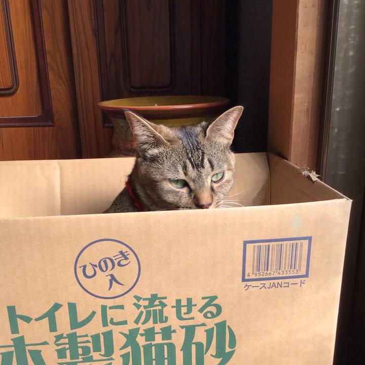 5643bcb2 5fc1 4129 be65 94a5efb9c324 1613279258704