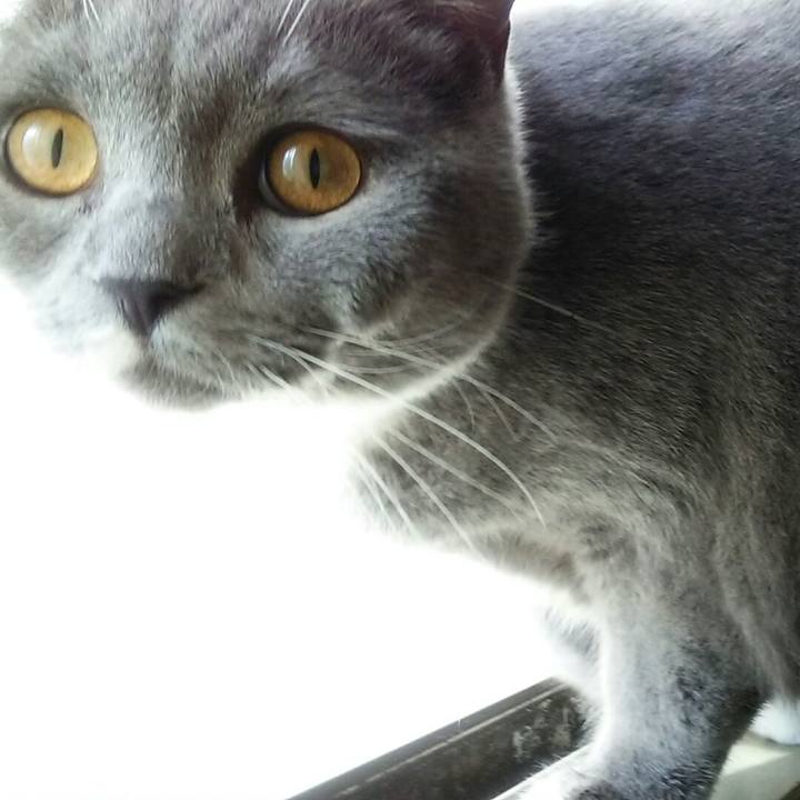 5643e146 036f 4708 954c 71fcf56df54a 1546659538828