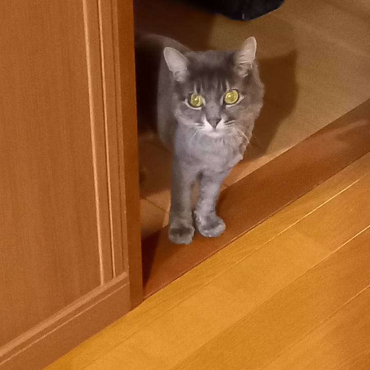 5643ed3a f5cc 4f6a a3ea e0c7f12bec2a 1653706941077