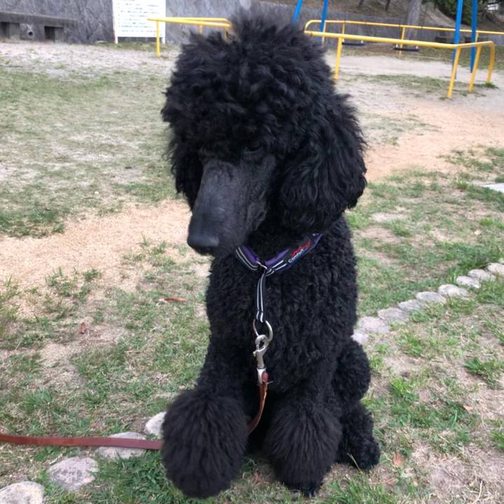 564412c2 75ba 43b6 ace6 1fedbba0f245 1619225015672