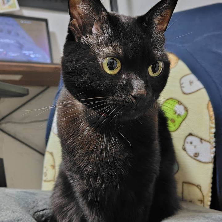 56446d2b fb09 4b51 b567 71c04dd9d699 1766837828387