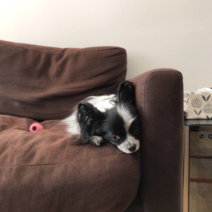 56448a85 5c5e 46aa 99ac 1426fa7040fe 1537332876592