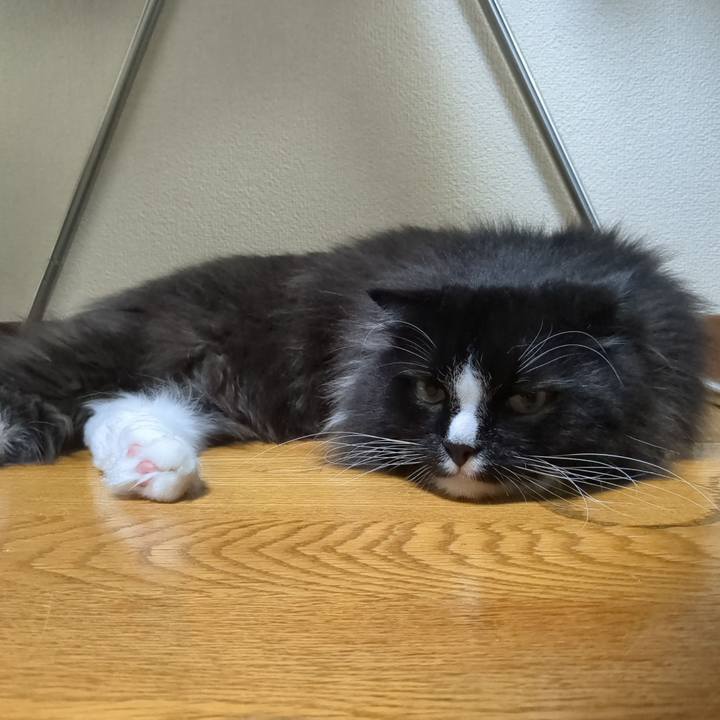 56449721 264a 47f2 848b f9d8afa1587f 1720309807822