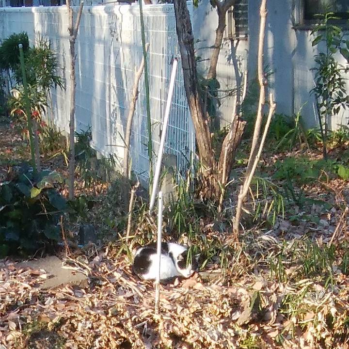 5644a43f e614 4289 8b9b ec683d94bab8 1514107827322