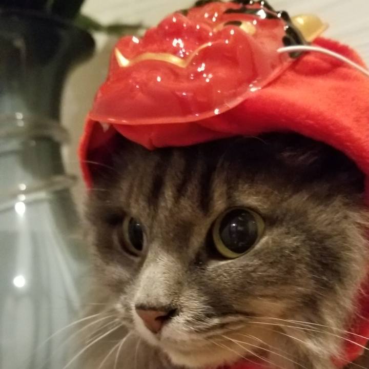 5644af74 1c7d 4b9f 95c9 b0b8b4695b13 1580731322953