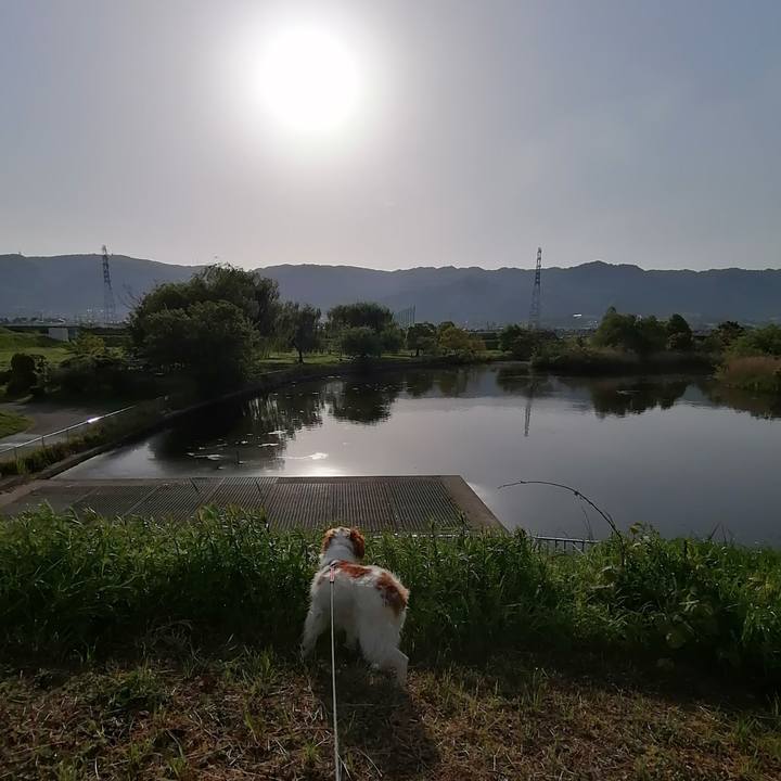 5644b87f 3ba3 4234 a46c d4cb77667a08 1619828230684