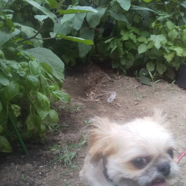 5644bad3 38f9 4261 b308 89e68d5c7212 1751714004799