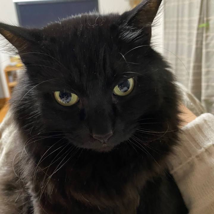 564500c0 8e21 42a5 8b12 87d1b4212531 1607344941239