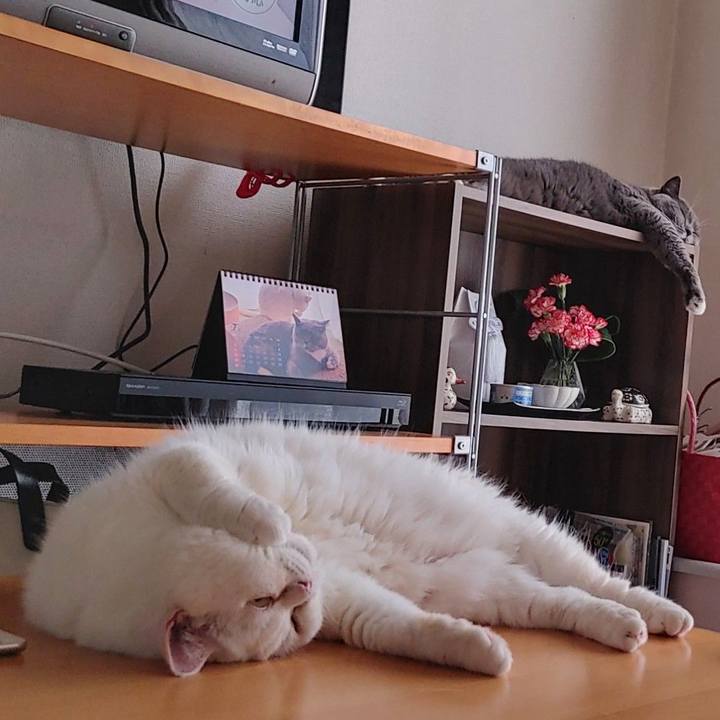 564533d3 7728 41e8 9749 fb43a7b9486f 1689987183088