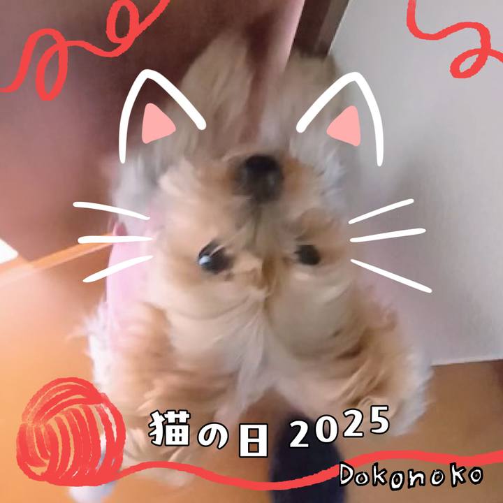 564535aa 9bc5 43e0 9aac 53a4a320c287 1740134694419