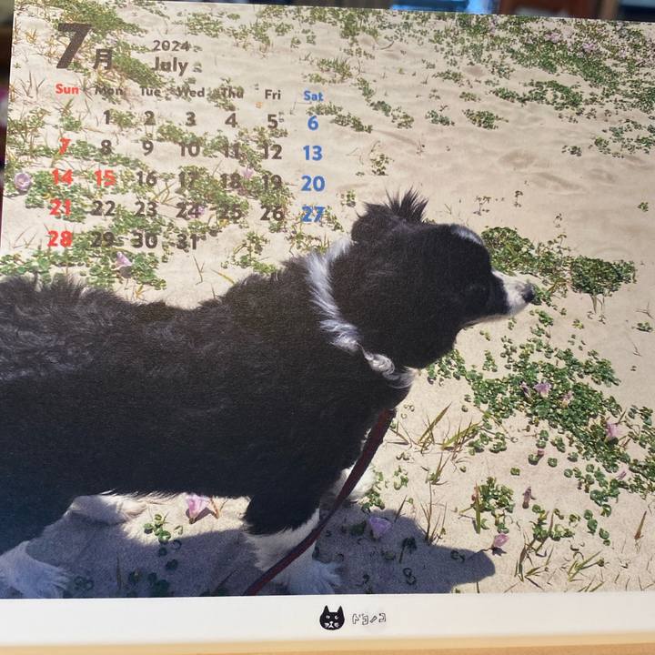 56453de1 1e81 4069 bbf5 dc8056318e0f 1719779331000